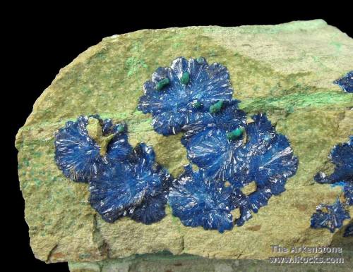 CornetiteThe number of colourful minerals encountered in the zones of copper ore deposits that have 