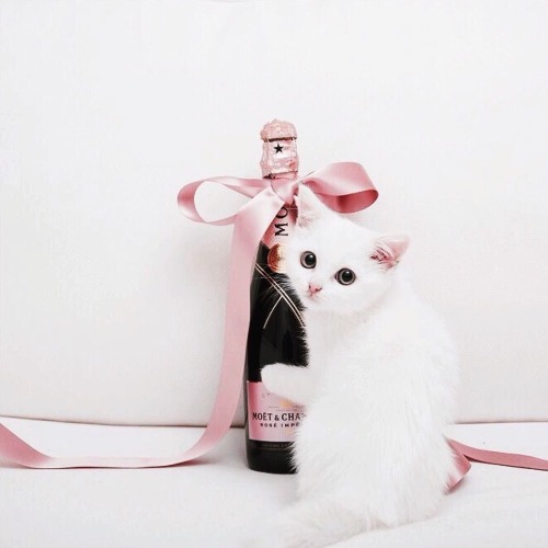 Cheers! We made it to the weekend! {Courtesy of @lovebynatsu}