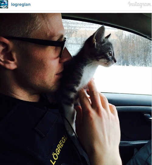 dualpaperbags:  paulmcfruity:  This Icelandic police force has the most adorable Instagram account   Meet the Reykjavík Metropolitan Police, serving the capital of Iceland. By the looks of their incredible Instagram account, a normal day includes holding