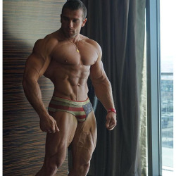 saintboxer:  roidedmusclebullswithemptyposers:  The big muscles only make his micro cock even smaller  oh yes baby xx.  (via TumbleOn) 