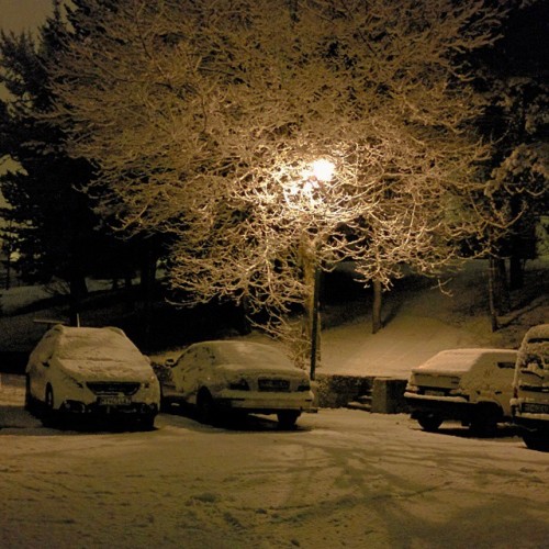 Zima na #Myjava #DolnaStvrt #tree #lamp #winter #night #snow