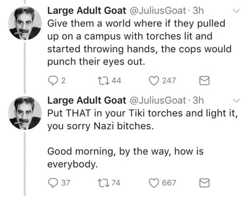 Large Adult Goat: the voice of reason white people never knew they needed.