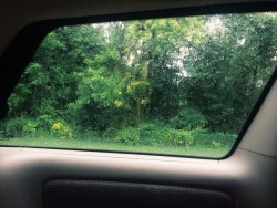 slightlymiserable:  On a road trip while it’s raining so I took a snapshot. (: