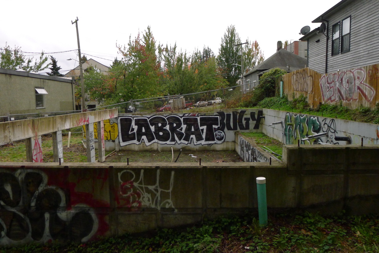 “Labrat,” another instance, on an unfinished foundation wall, color as found.