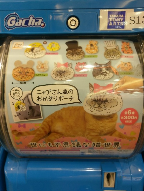 Weird Gacha/UFO - Cats! God there’s been a lot of cat gacha/UFO recently.Today we have: E