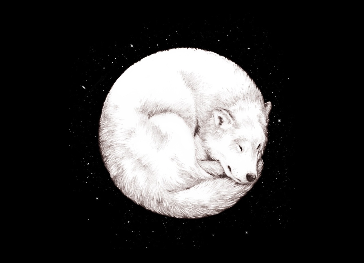 threadless:  Just one of the great new tees on sale for $15, check out “Howl of