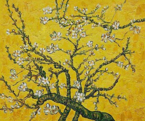 zhuanghongru: Van Gogh’s flower painting.