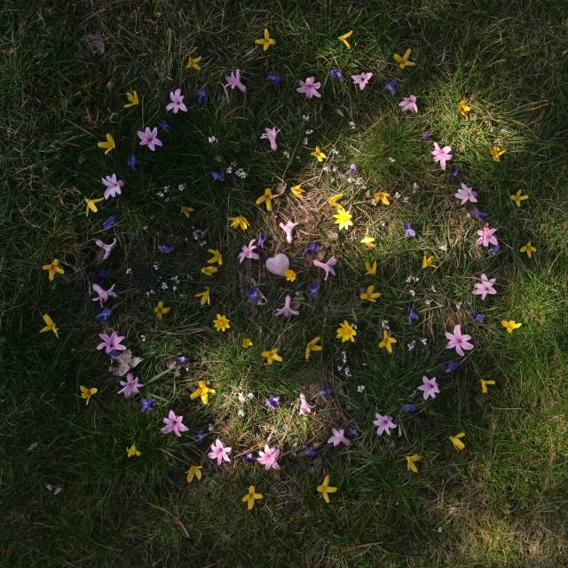 Flowermandala On Tumblr