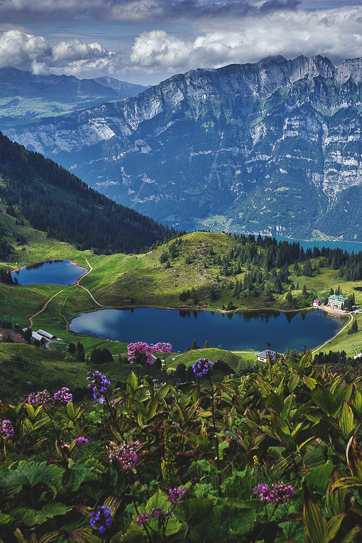 theencompassingworld:  The World Around Us