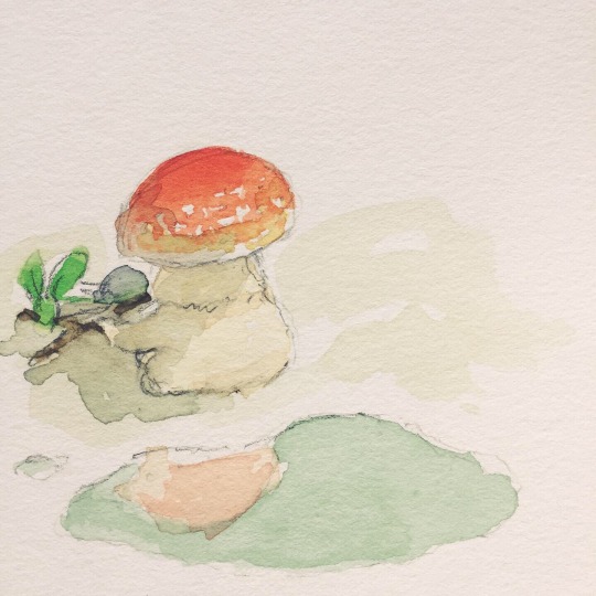 studio-thomas-walsh:A little mushroom finds a puddle