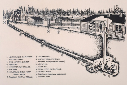 March 24th 1944: The ‘Great Escape’On this day in 1944, a group of Allied prisoners of war staged a 