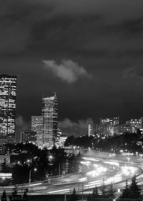 blackandwhitegifs“ Seattle (Jibby Was Most Happy)”