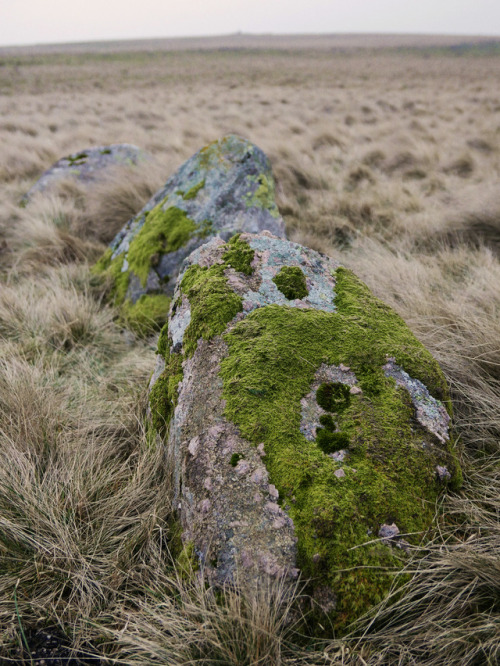 Oddendale Stone Circle, near Shap, Lake District, 14.1.17.I’ve visited this recumbent double s