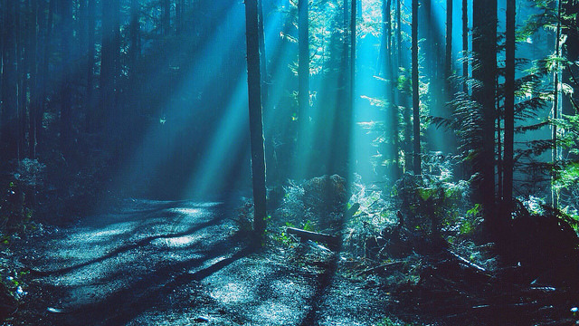 englishsnow:  devildoe   I need to be there right now