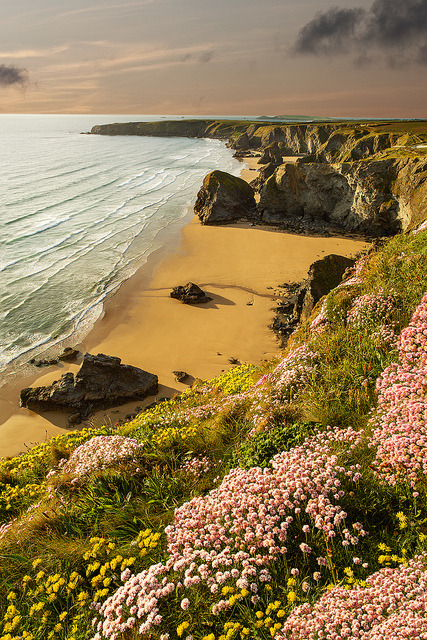 djferreira224:  A Little Bit Of Summer by Ray Bradshaw. on Flickr. Cornwall, England