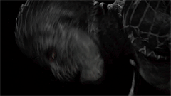 jeisandvik:  teen wolf rewatch: 2x05 ∞ venomous 