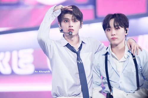 190830 Ode To You© An Ailurophile