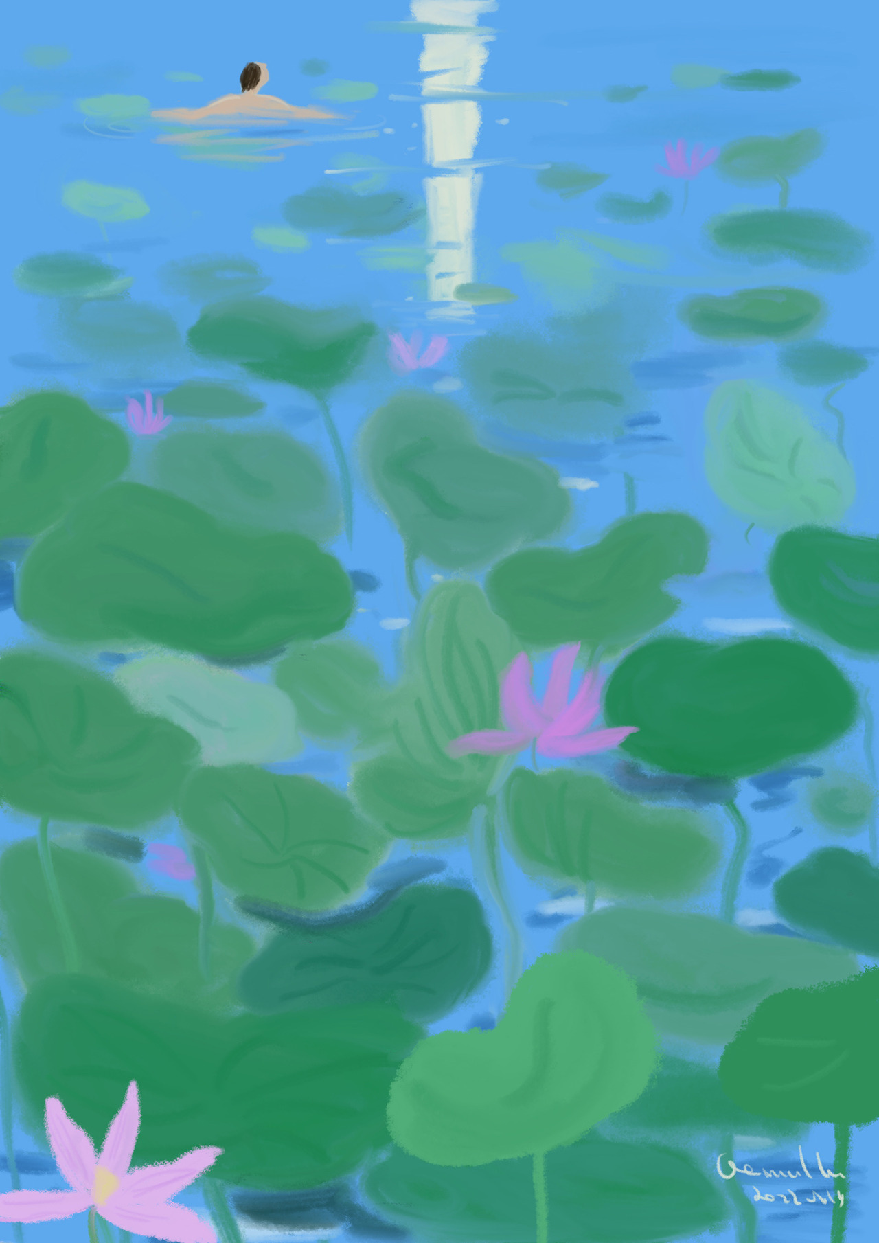 卤猫