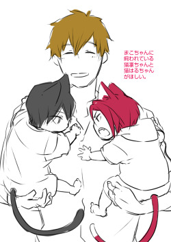 yumekyun:  Free!つめ2     