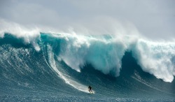 Catch a wave (surfing near Prevelly, Western