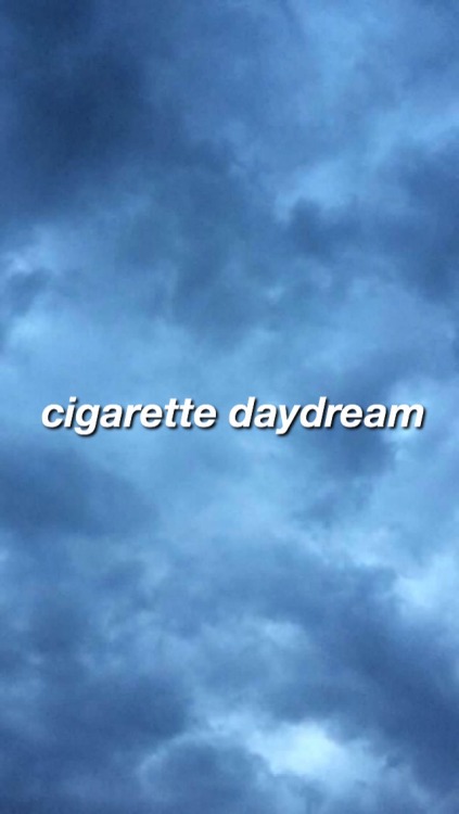 melophobia-cage the elephant (part 2)@callmebabyblueee