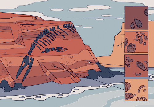 meander, a short comic about a river, and bivalves, and the fossil record. inspired of course by joh