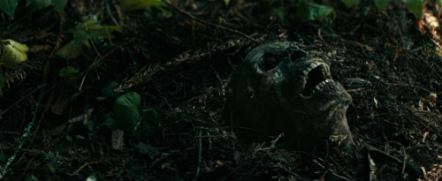 cinemabreak:Swiss Army Man (2016)Directed by Daniel Kwan, Daniel Scheinert Cinematography by Larkin 