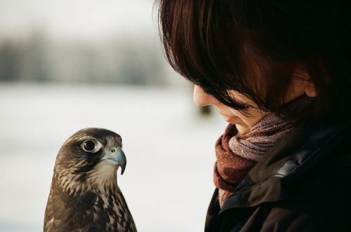 bitrates: by Herr_Laifer 