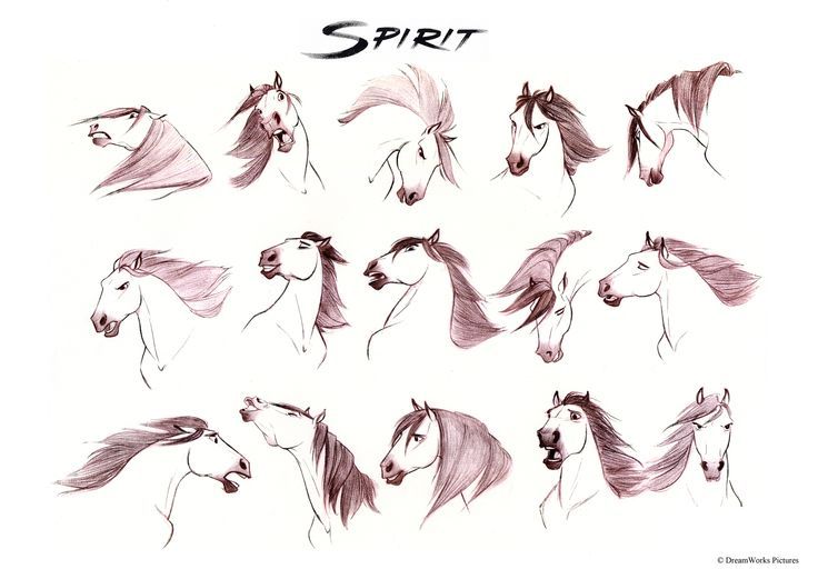 2dtraditionalanimation:  Spirit - Carlos Grangel 