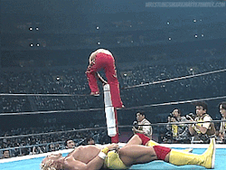 tumblr_otlxs95UHS1vtad0lo2_250.gifv