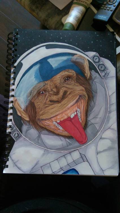reddlr-trees:  Was drawing a few days ago at a [7], thought I would share my monkey in space.