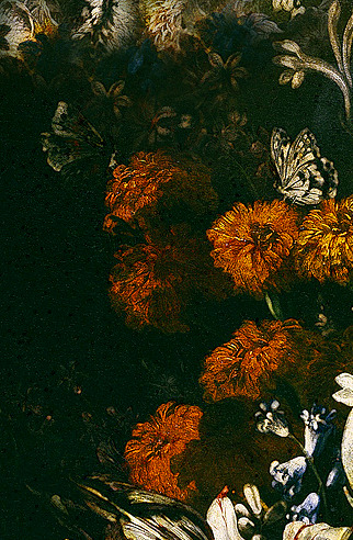 XXX clara–lux: BELVEDERE, Andrea (1652–1732) photo