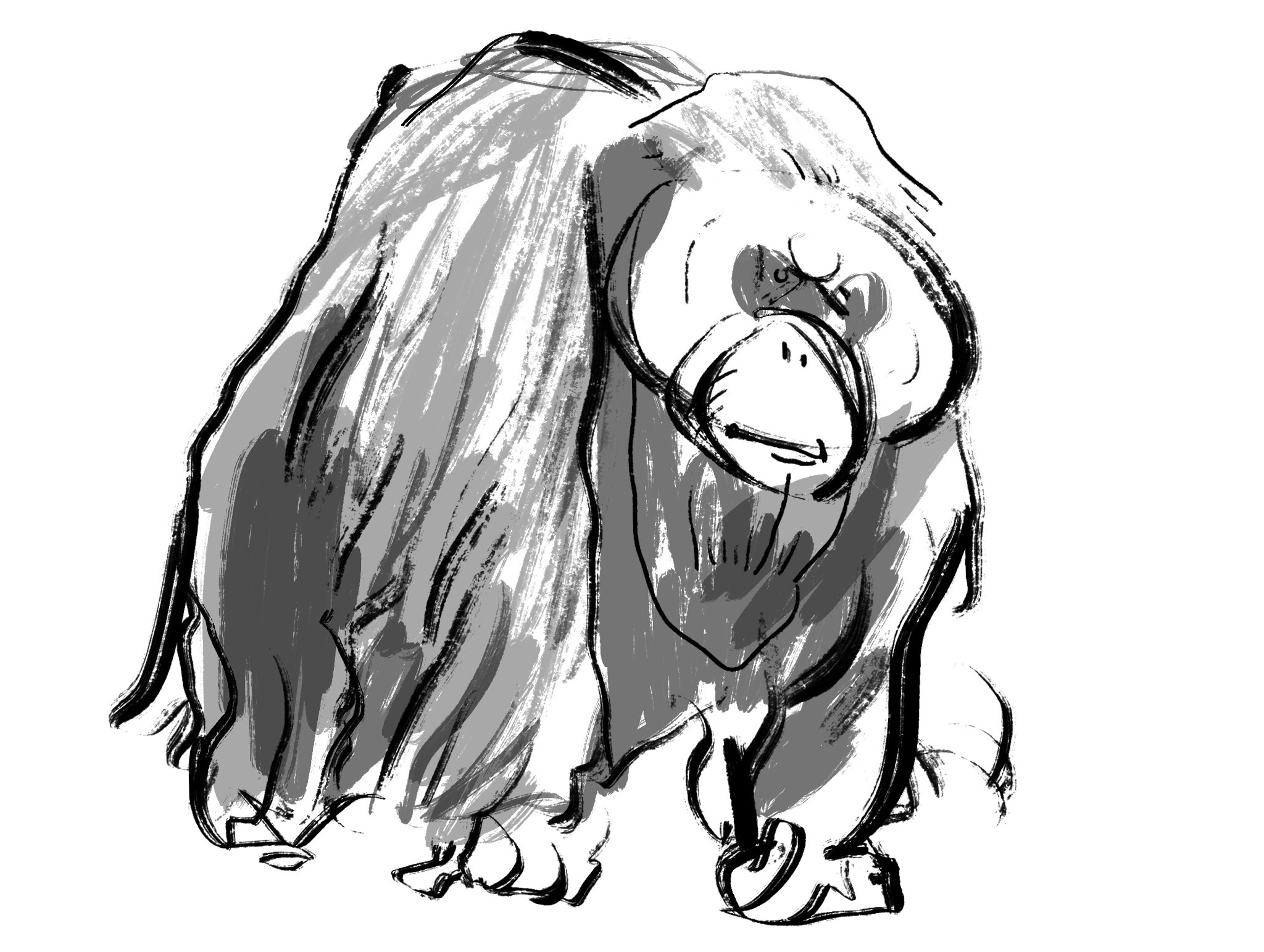 otterlogic:Some orangutans and gibbons I’ve drawn recently. Go primates! 