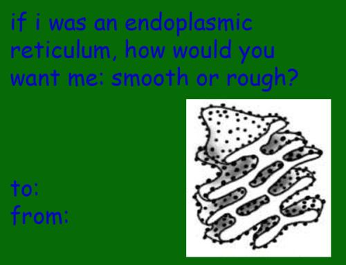 andforthemoment:i-am-mishafuckingcollins:andforthemoment:biology valentines guysi laughed way too ha