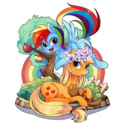 pegacornfiona:  Repost from @mlp_shipping_request :D finally, they post appledash again! I’ve been waiting for it :) #mylittlepony #friendshipismagic #mylittleponyfriendshipismagic #mlp #fim #mlpfim #appledash #applejack #rainbowdash  &lt;3!