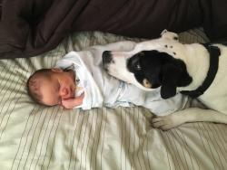 awwww-cute:  We just brought home our newborn