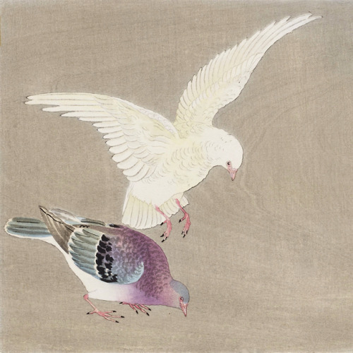 Ohara Koson (1877-1945) - Pigeons - via Lempertz