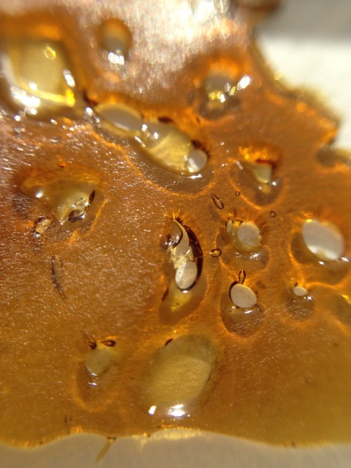 andrewallenmoore: fresh gram of some Grape Soda ✨