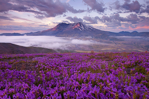 Mount St. Helens - Washington by Lightvision [光視覺] on Flickr.