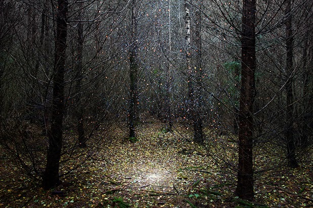 asylum-art:  Ellie Davies lives in London and works in the woods and forests  of