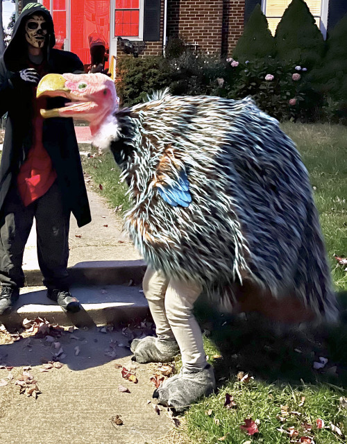 Gerald the terror bird puppet, facing left, standing next to a person in a skull mask and a hood. Gerald has a pink vulturine head, a shaggy brown and blue body, and tiny blue feathered wings.