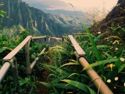    Gorgeous, terrifying, illegal hike.  Those are the best kind.   Oahu 