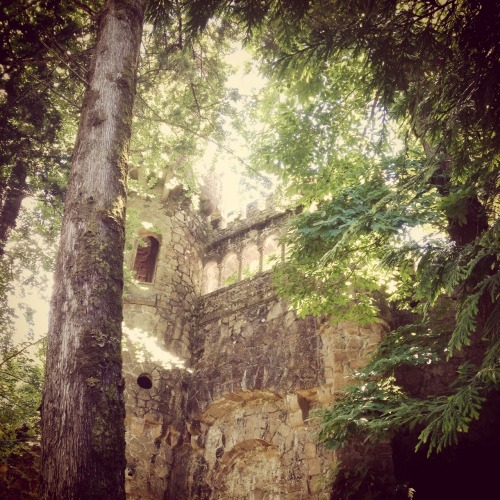 Quinta da Regaleira, Sintra, Portugal (June 2015) | Suzanne Lynch | instagram | flickr(please do not