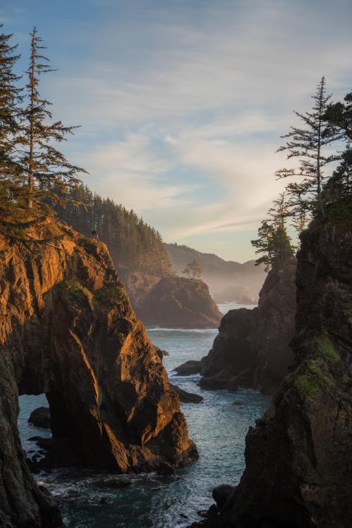 oneshotolive:  Brookings, Oregon [OC] [5304x7952] 📷: ari-do-nature 