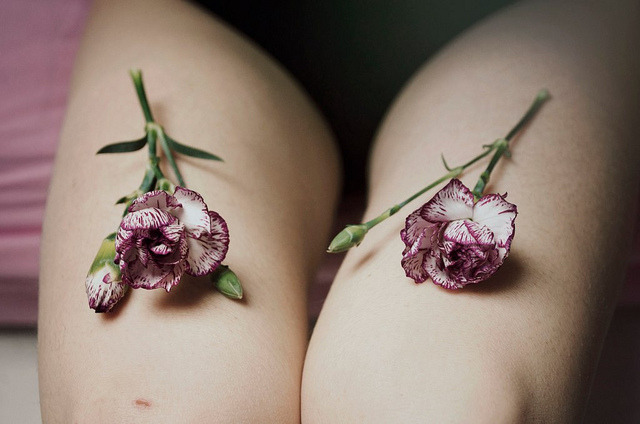 fox-corner:  58/365 by Rhiain. on Flickr.