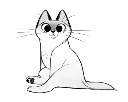 dailycatdrawings: 702: Kitten Sketch FAQ | Submissions | Patreon | Etsy