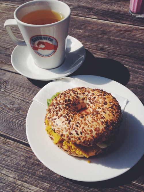 sunny fall days, speltflour bagels with humus, green tea for lunch and nice company from a friend of