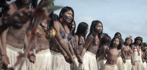 indigenous-caribbean: Indigenous Movement Stops Construction of Brazilian Mega-Dam In a historic vic