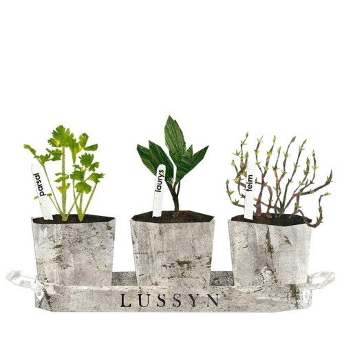 Todays prompt is herbs - lus or lussyn for plural, kind of just means plants as well.
#gaelg #monsterfuldoodles @monsterfulillustrations
#manxlanguage #gaelic #isleofman
#drawingchallenge
#drawingchallenge2021...