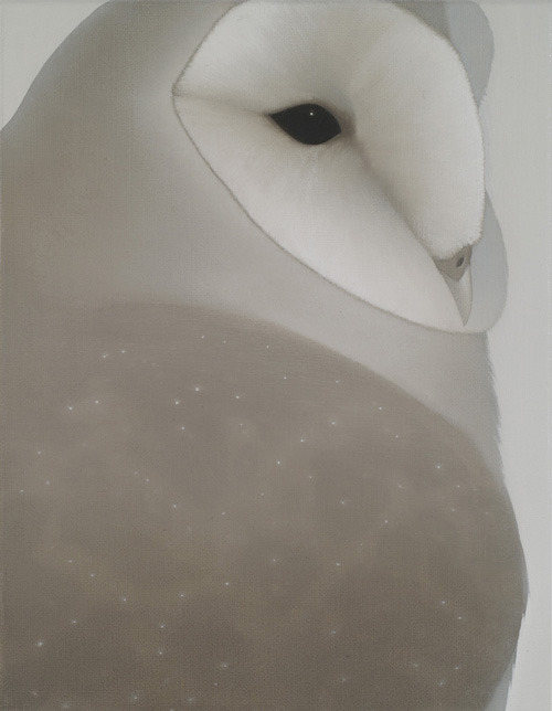 fer1972:  Peter Vos  